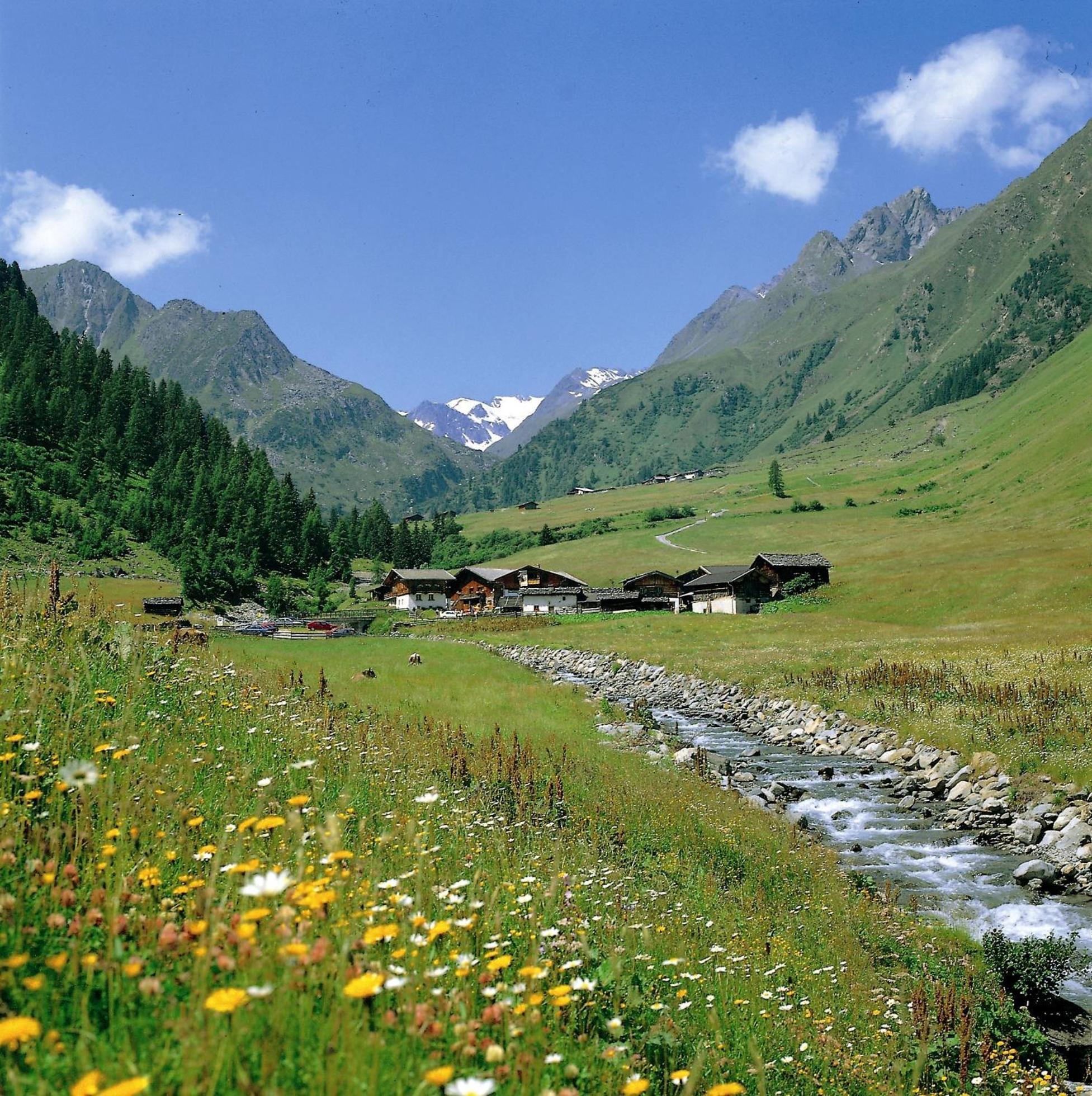 Pension Almrausch Neustift im Stubaital Exterior photo
